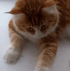 Озерки